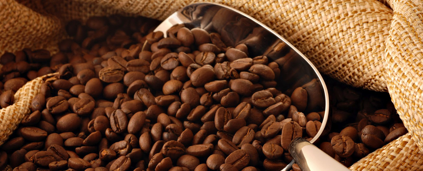 Hạt cafe Trung Nguyên